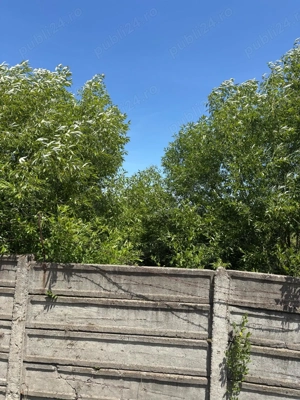 Teren intravilan Suncuius 1400 mp - imagine 2