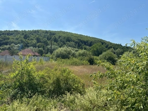 Teren intravilan Suncuius 1400 mp