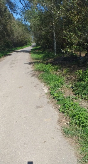 Teren Intravilan 2164 mp, Mărgineni, Com. Hârseni, jud. Brașov  - imagine 2