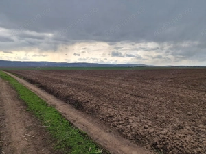 Teren 10,000mp Bacau / Strada Alexandru Safran - imagine 13