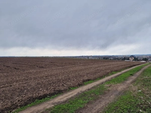 Teren 10,000mp Bacau / Strada Alexandru Safran - imagine 11