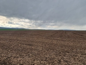 Teren 10,000mp Bacau / Strada Alexandru Safran - imagine 12