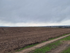 Teren 10,000mp Bacau / Strada Alexandru Safran - imagine 9