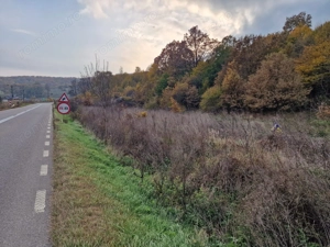 Teren 1,717mp Margineni / Strada Sat podis - imagine 8