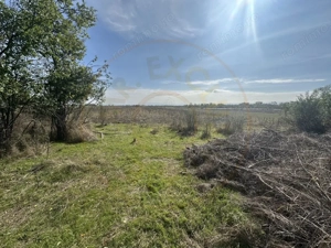 Teren 5216 mp la drum principal com. Ratesti  - imagine 7