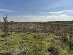 Teren 5216 mp la drum principal com. Ratesti  - imagine 5