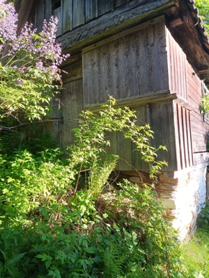 Vand anexe vechi - imagine 6