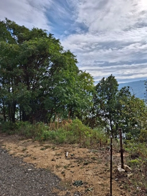 Teren intravilan - imagine 5 Teren intravilan - imagine 5