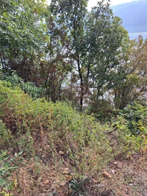 Teren intravilan - imagine 6 Teren intravilan - imagine 6