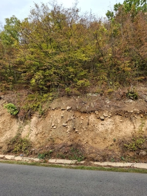 Teren intravilan - imagine 8 Teren intravilan - imagine 8