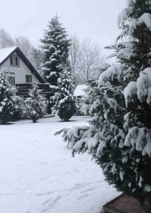 VIla in Bran - Cazare Craciun si Revelion - imagine 4