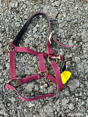 Capastru nou - imagine 4 Capastru nou - imagine 4