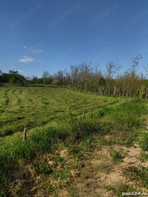 Teren Mihailesti , Jud Buzau- 2500mp - imagine 2