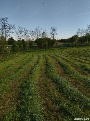 Teren Mihailesti , Jud Buzau- 2500mp - imagine 4