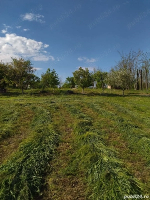 Teren Mihailesti , Jud Buzau- 2500mp - imagine 5