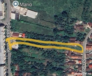 OCAZIE. Teten de vânzare.