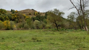 Teren Intravilan Case de Vacanta Tabere Afacere in  Zona de Padure cu Vale Utilitati Front Stradal - imagine 4