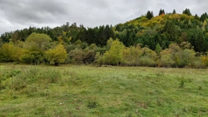 Teren Intravilan Case de Vacanta Tabere Afacere in  Zona de Padure cu Vale Utilitati Front Stradal - imagine 3