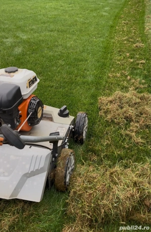 Mentenanță spații verzi Iași - firmă specializată - imagine 4