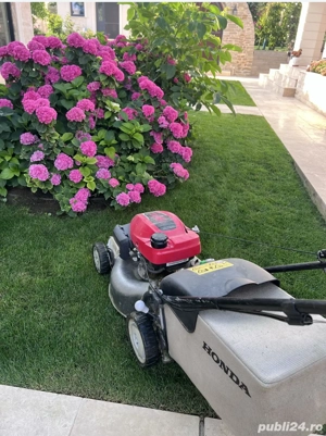 Mentenanță spații verzi Iași - firmă specializată - imagine 3