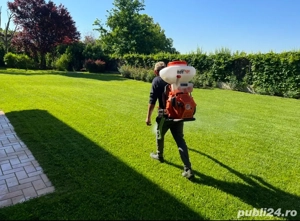 Mentenanță spații verzi Iași - firmă specializată