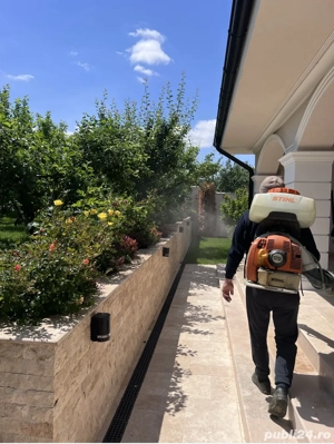 Mentenanță spații verzi Iași - firmă specializată - imagine 2