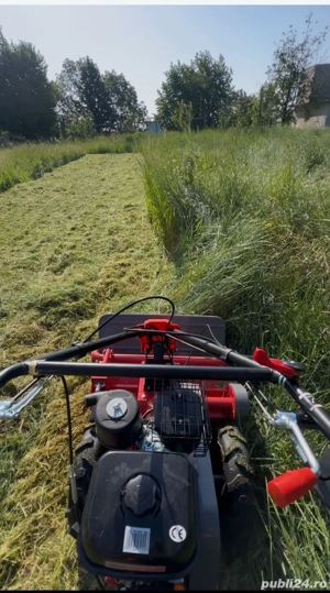 Defrișări terenuri, cosit și debarasat resturi vegetale  - imagine 3