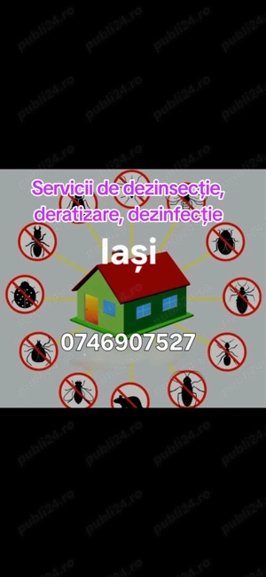 Servicii deratizare, dezinsecție 