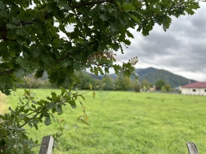 Teren 1,023mp Vadurele (Alexandru cel Bun) / Strada Stejarilor - imagine 2