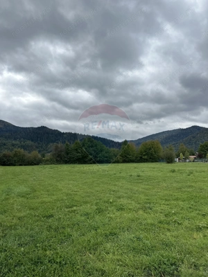 Teren 1,023mp Vadurele (Alexandru cel Bun) / Strada Stejarilor - imagine 3