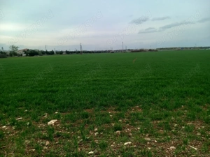 Teren extravilan zona Gării Floresti