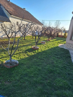 Casa complet mobilata si utilata in Girisul de Cris - zona Metropolitana Oradea - imagine 18