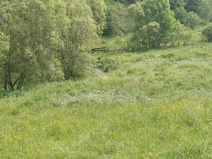 Teren Muntele Baisori