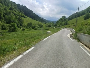 Teren Muntele Baisori 