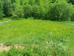 Teren Muntele Baisori  - imagine 3