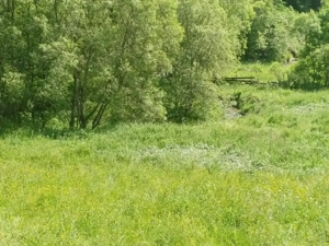 Teren Muntele Baisori  - imagine 2