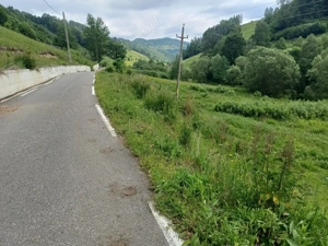 Teren Muntele Baisori  - imagine 7