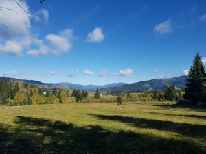 5077 mp teren  Sarisoru Mare   Saru Dornei  - imagine 4