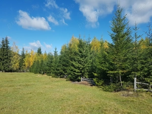 5077 mp teren  Sarisoru Mare   Saru Dornei  - imagine 6