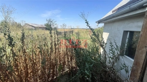 Nou! Sp. comercial P+M, S=236 mp. teren 795 mp, zona T. Vladimirescu! - imagine 9