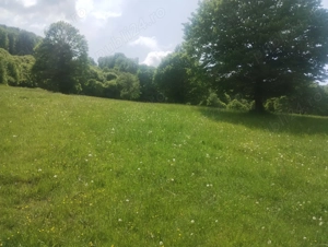 Vând teren in zona pitoreasca cu peisaje extraordinare - imagine 5