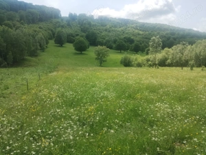 Vând teren in zona pitoreasca cu peisaje extraordinare - imagine 4