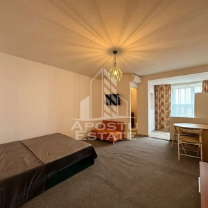 Apartament cu 1 camera, pet-friendly , zona Circumvalațiunii