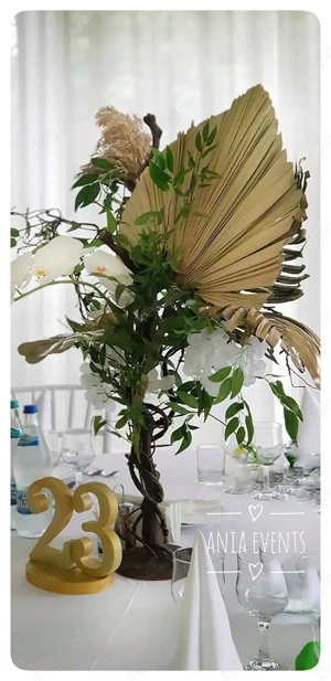 Lichidare firma evenimente decoruri deosebite Tg-Jiu - imagine 2