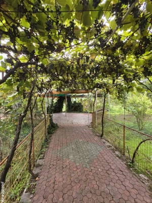 Pensiune de vanzare Techirghiol langă Sanatoriul Balnear si plajă - imagine 10