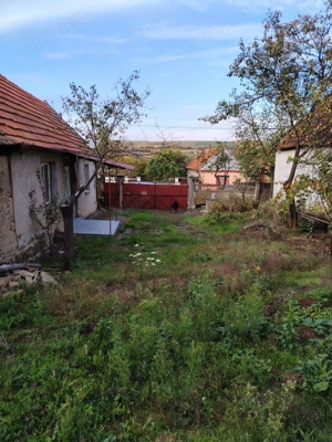Vând casă în satul Dernișoara,jud. Bihor - imagine 10