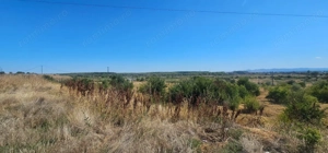 Teren intravilan 14.168 mp – pozitie excelenta la intrarea in Braila - imagine 7