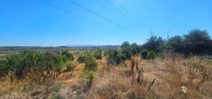 Teren intravilan 14.168 mp – pozitie excelenta la intrarea in Braila - imagine 5