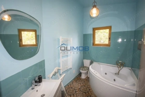 Inchiriere vila cu personalitate zona Tudor Vladimirescu - imagine 13