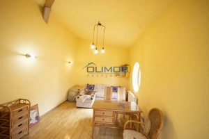 Inchiriere vila cu personalitate zona Tudor Vladimirescu - imagine 8